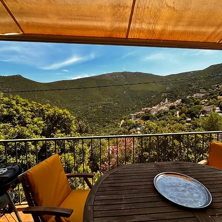 House Palasca (Corsica)